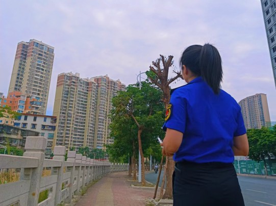 图片 4.jpg